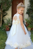 Ivory Floral Lace Heart Cutout Rose Petals Flower Girl Dress Junior Bridesmaid Special Event 185T(1)
